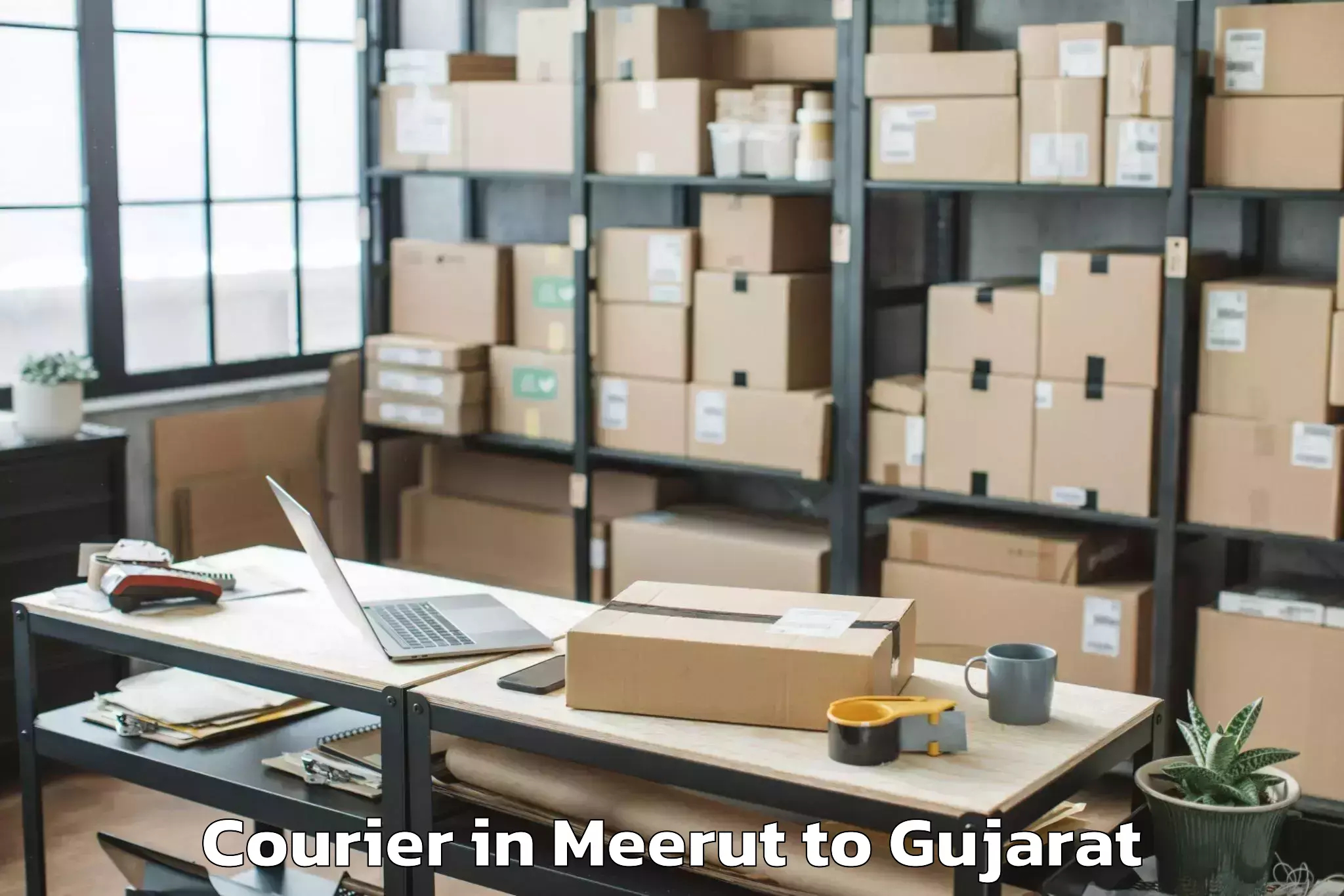 Quality Meerut to Sankheda Courier